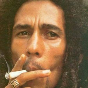 Meet your Posher, Paul